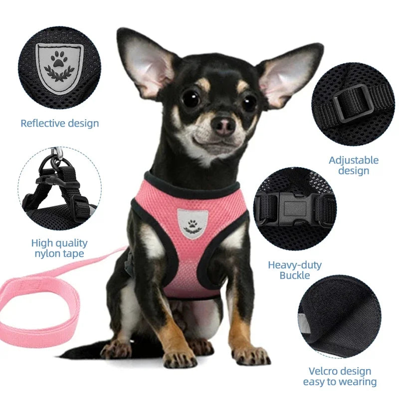 Dog Harness