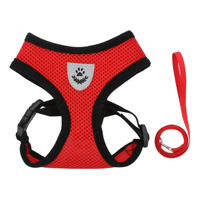 Dog Harness