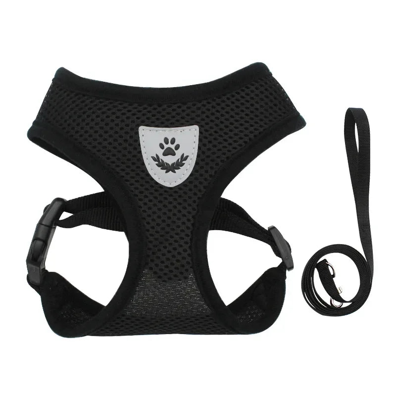 Dog Harness