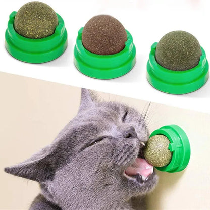 Natural Catnip