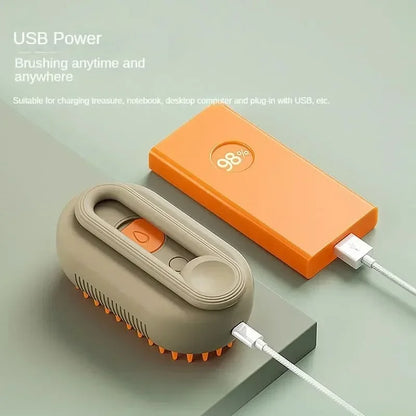 Steamy Brush Electric Spray
