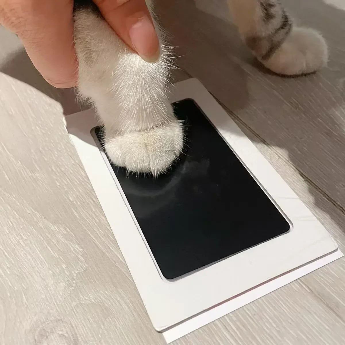 Handprint Pads for Pet