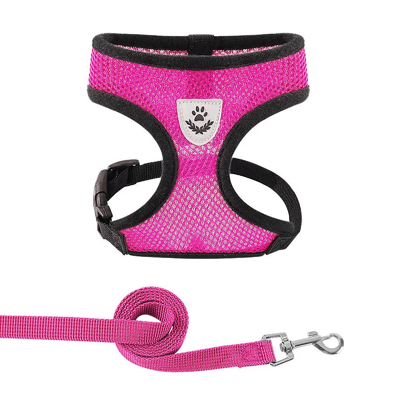 Dog Harness