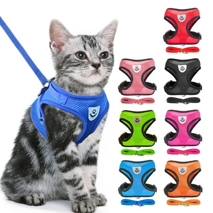 Cat Harness