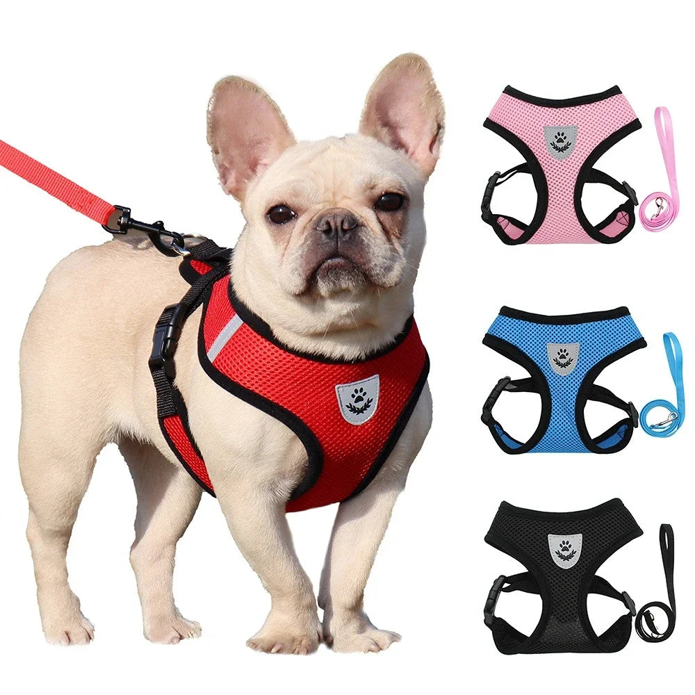 Dog Harness