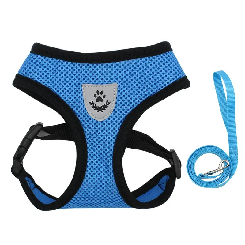 Dog Harness