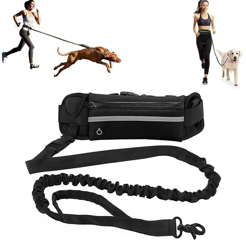 Dog Leash