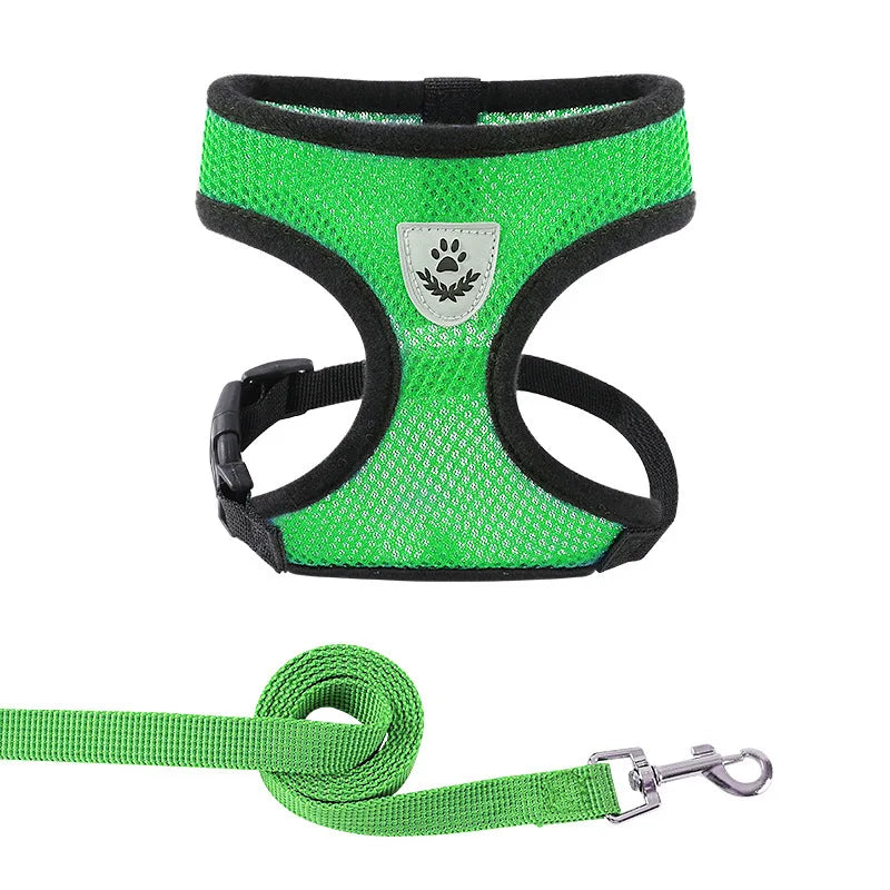 Dog Harness