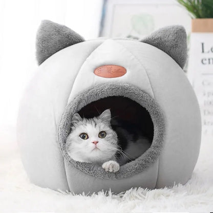 Cut Cat House